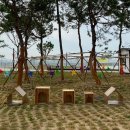 펫 월드 이미지