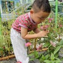 라온수피아유치원 이미지