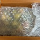 경민농장 | 농라 경민농장 짭짤이토마토