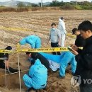 인출농장 네이버블로그