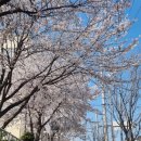 진영중학교 앞 이미지