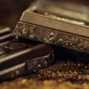 둔촌동물병원 이미지