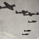 T-6 네이버블로그