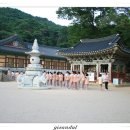 서해여관 Daum카페