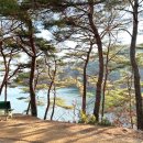 내토로 | 제천 백숙 맛집 강추! 명가백숙(구 피재골가든) 리얼 후기