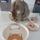 아름담은도예공방 이미지