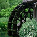 해님농장 이미지