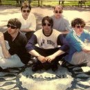 오아시스 이미지