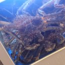 대게 맛나게 김포점 이미지