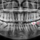 서울굿닥터치과의원 이미지