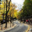 11월 5일(수) 서울 역사탐방 걷기갑니다 이미지