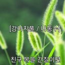 강아지풀 이미지