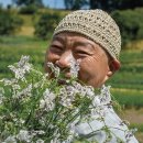 미래자원개발;미래조경