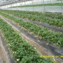 연무농장 이미지