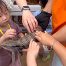 위드농장 이미지