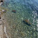 조밭 공영주차장 | 바다가 보이는 마산 202m 낮은 산 힐링 코스 용두산 등린이 등산 후기