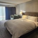 신관스크린_앞1 | [부산] 파라다이스호텔부산 / 신관 디럭스 오션뷰 숙박 후기 해운대 빛축제