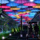 청도레일바이크 이미지