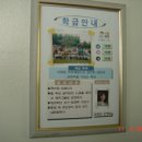 신대초등학교 Daum카페
