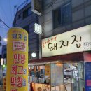 불타는돼지 이미지