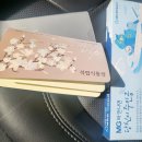 투어벨여행사
