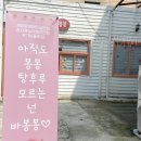 봉봉탕후루 이미지