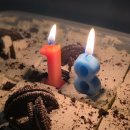 달래내로 | 판교 맛집 분위기 좋은 레스토랑 다크앤라이트 내돈내산 후기