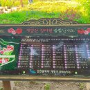 장미원내부 이미지