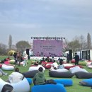 한강다목적운동장 축구장 | 여의도 벚꽃축제 한강 벚꽃 4월 3일 실시간