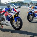 파이어코리아 이미지