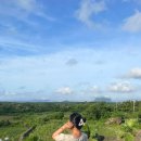 신례교차로 4 | [제주도] 4박5일 제주 한바퀴 여행 코스 일정 (2) 이야기