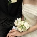 W26. 서울 꽃집 - 주아르플라워 웨딩 촬영 부케 후기