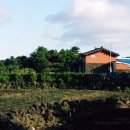 무명화가의 집 이미지