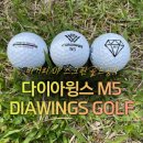 윙스골프존 | 고반발 비거리 골프공 아이템 다이아윙스 M5 내돈내산 솔직 리뷰!!