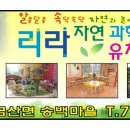 리라자연유치원 이미지