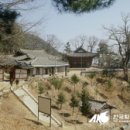 송곡천 | [경북] 구미시 냉산 임도(도리사 임도)
