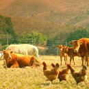 빠져봅시다 이미지