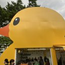 제과제빵기능사(주간) 이미지