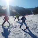 휘닉스파크 이미지