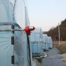 세용 농장 이미지