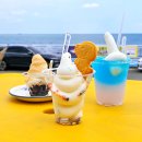 똥강아지 | [해운대 애견동반 카페] 스위티 똥강아지 송정 바다 보며 먹은 아이스크림 후기