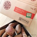 창바우농장 이미지