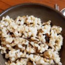 한림성모유치원 | 호삼이네 바당길/보말칼국수/톳칼국수/제주아침식사