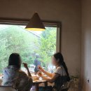 하례학림로 | 제주도 서귀포 양식 맛집 휴애리 근처 미미파스타 도민맛집