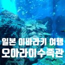 아쿠아수족관 | 일본 이바라키 아쿠아월드 오아라이수족관 여행 후기