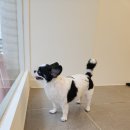 초이미용실 이미지