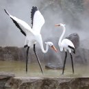 상업용5 이미지