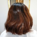 더 벨르 (The Belle) 이미지