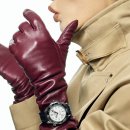 오렌지카매니아 이미지