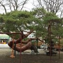 단월약국 이미지